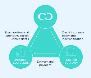 Trade Credit Insurance Explained - with working examples - Coface
